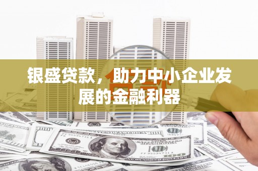 泾县银盛贷款，助力中小企业发展的金融利器