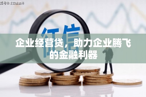 泾县企业经营贷，助力企业腾飞的金融利器