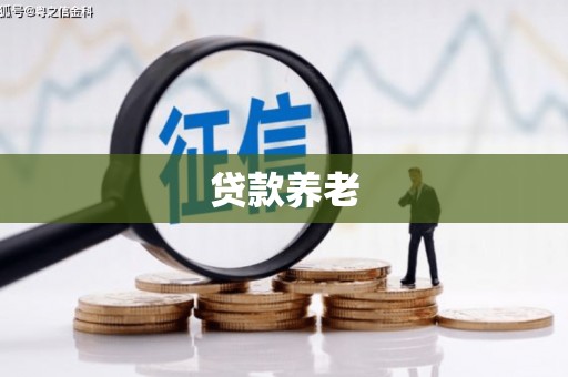 泾县贷款养老