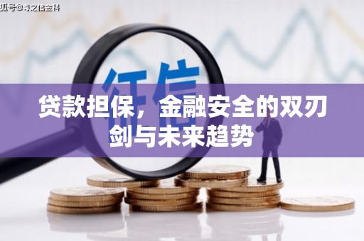 泾县贷款担保，金融安全的双刃剑与未来趋势