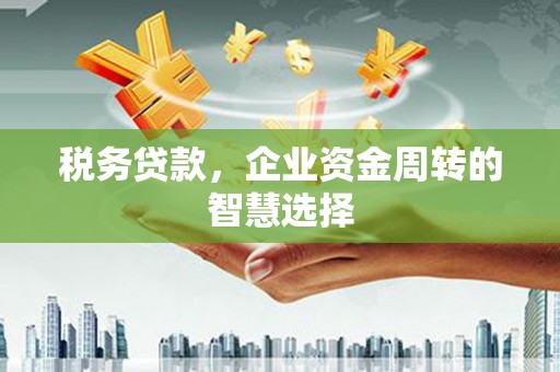 泾县税务贷款，企业资金周转的智慧选择