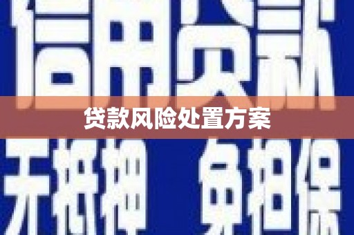 泾县贷款风险处置方案