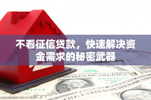 泾县不看征信贷款，快速解决资金需求的秘密武器