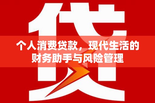 泾县个人消费贷款，现代生活的财务助手与风险管理