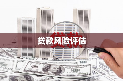 泾县贷款风险评估