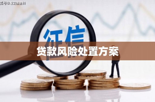 泾县贷款风险处置方案