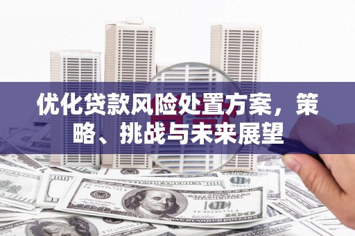 泾县优化贷款风险处置方案，策略、挑战与未来展望