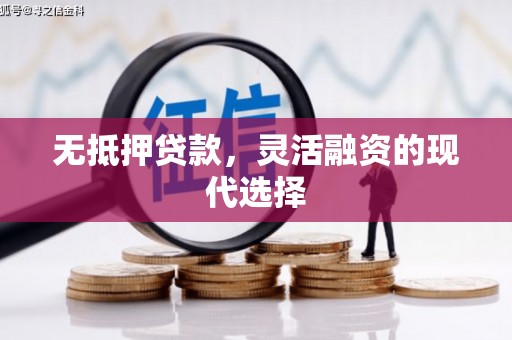 泾县无抵押贷款，灵活融资的现代选择