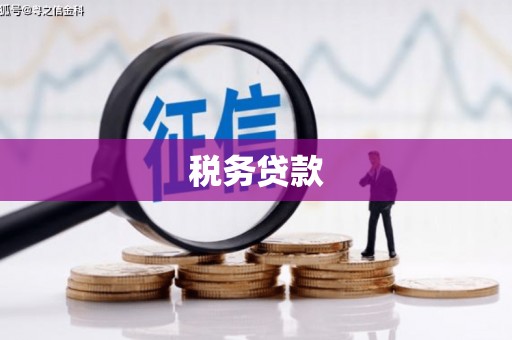 泾县税务贷款