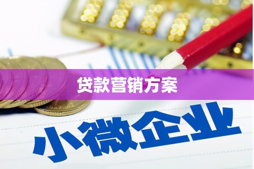 泾县贷款营销方案