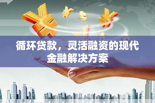 泾县循环贷款，灵活融资的现代金融解决方案
