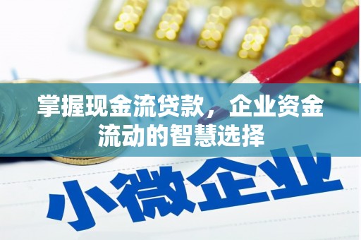 泾县掌握现金流贷款，企业资金流动的智慧选择