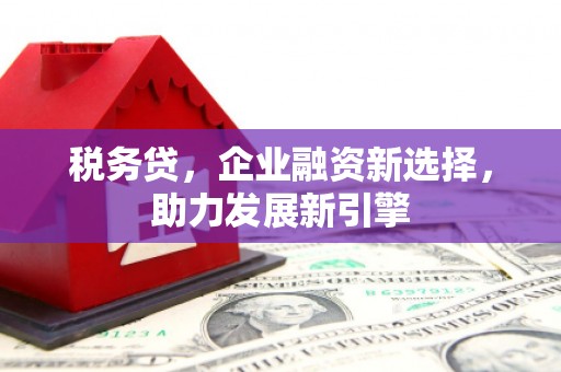 泾县税务贷，企业融资新选择，助力发展新引擎