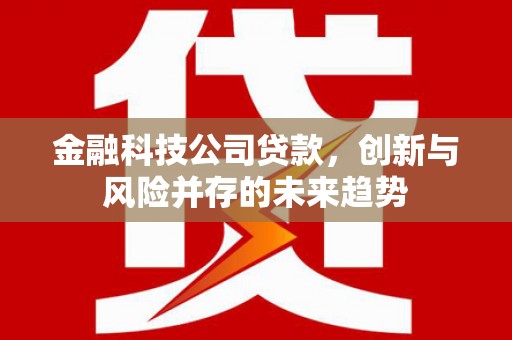 泾县金融科技公司贷款，创新与风险并存的未来趋势