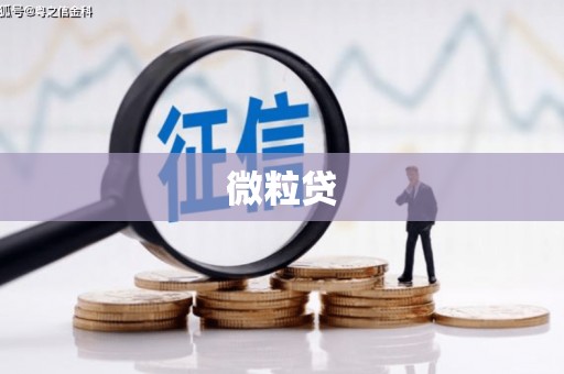 泾县微粒贷