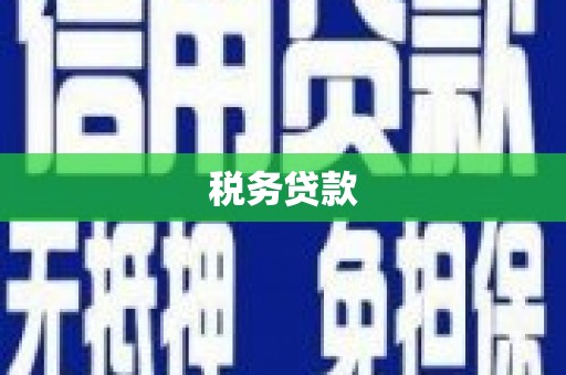 泾县税务贷款