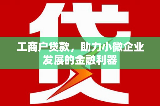 泾县工商户贷款，助力小微企业发展的金融利器
