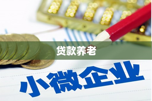泾县贷款养老