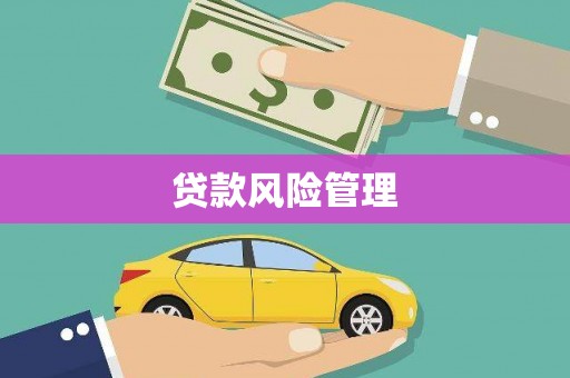 泾县贷款风险管理