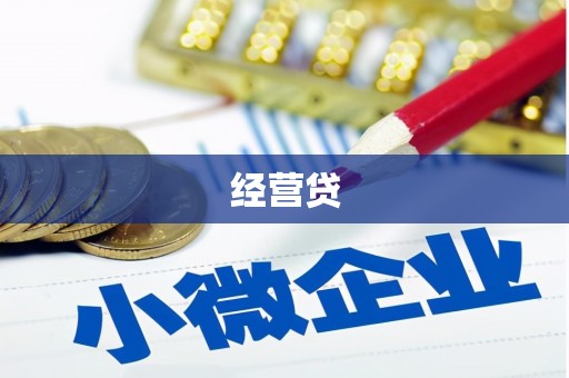 泾县经营贷