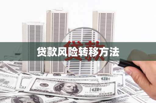 泾县贷款风险转移方法