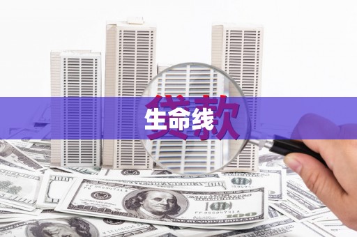 泾县生命线