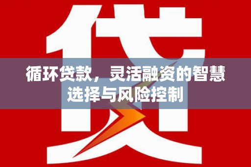 泾县循环贷款，灵活融资的智慧选择与风险控制