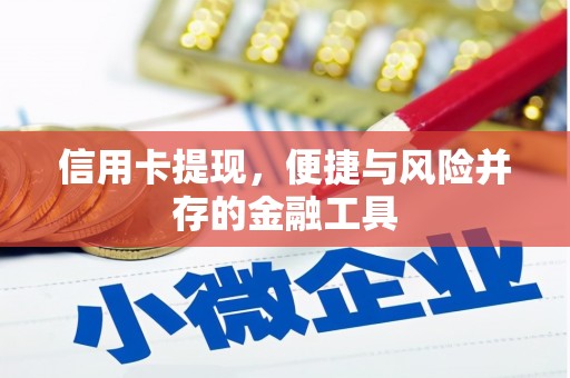 泾县信用卡提现，便捷与风险并存的金融工具