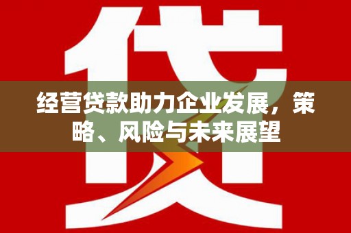 泾县经营贷款助力企业发展，策略、风险与未来展望