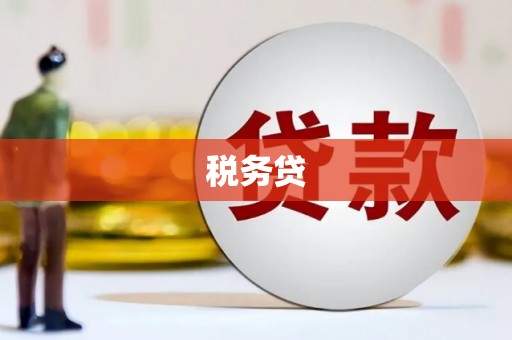 泾县税务贷