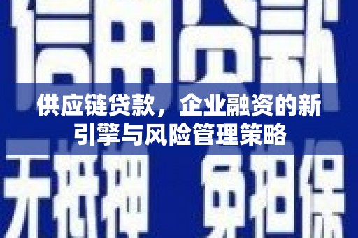泾县供应链贷款，企业融资的新引擎与风险管理策略