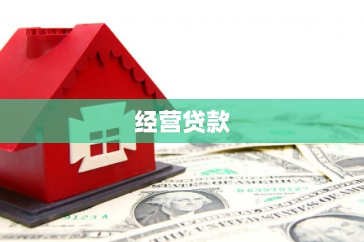泾县经营贷款