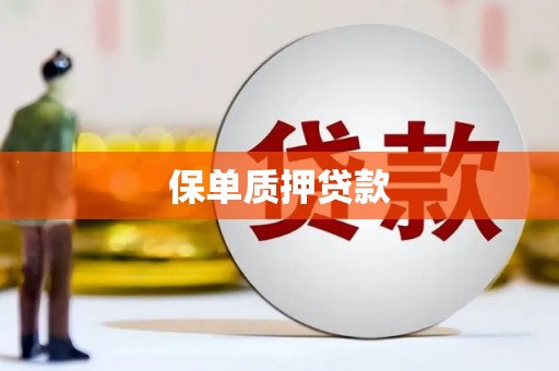 泾县保单质押贷款
