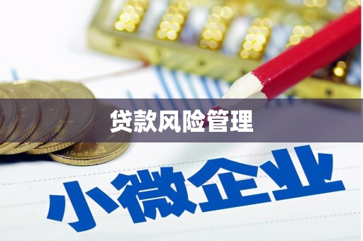 泾县贷款风险管理