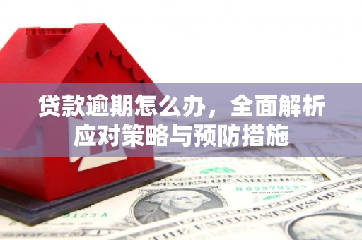 泾县贷款逾期怎么办，全面解析应对策略与预防措施