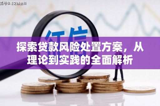 泾县探索贷款风险处置方案，从理论到实践的全面解析