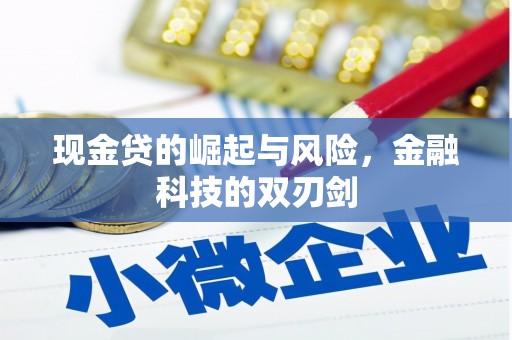 泾县现金贷的崛起与风险，金融科技的双刃剑
