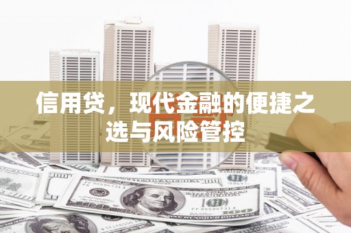 泾县信用贷，现代金融的便捷之选与风险管控