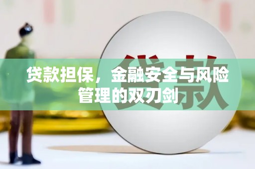 泾县贷款担保，金融安全与风险管理的双刃剑