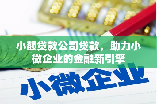 泾县小额贷款公司贷款，助力小微企业的金融新引擎