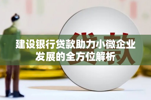 泾县建设银行贷款助力小微企业发展的全方位解析