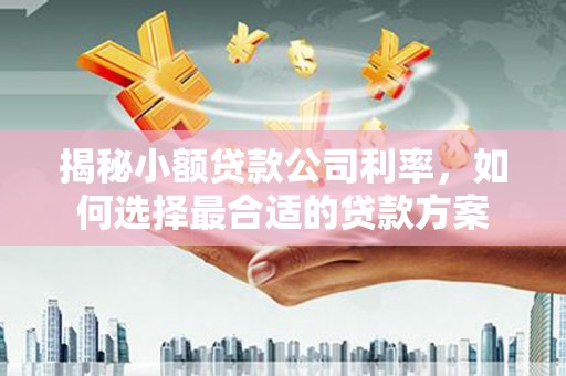 泾县揭秘小额贷款公司利率，如何选择最合适的贷款方案