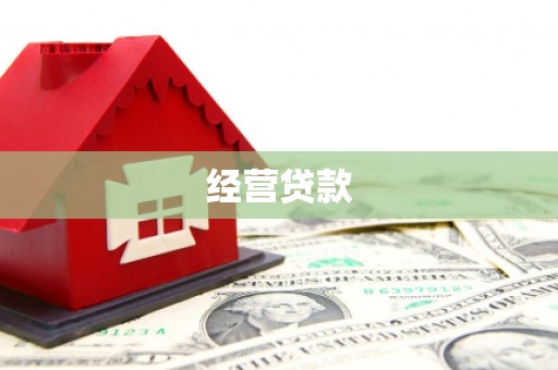 泾县经营贷款