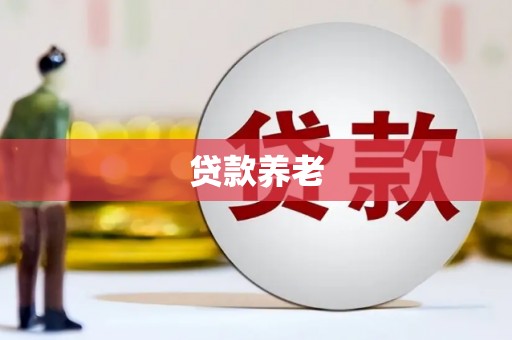 泾县贷款养老