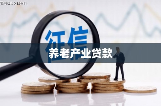 泾县养老产业贷款