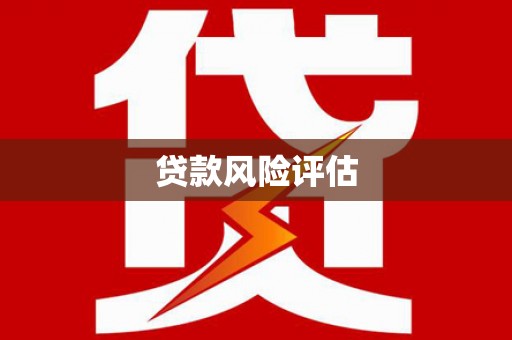 泾县贷款风险评估