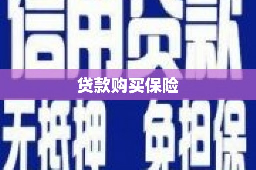 泾县贷款购买保险