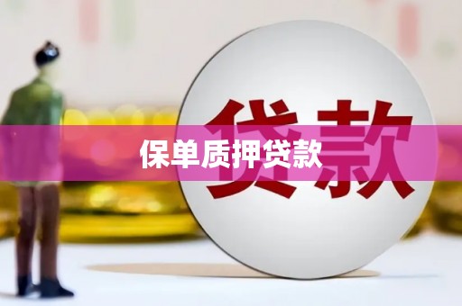 泾县保单质押贷款