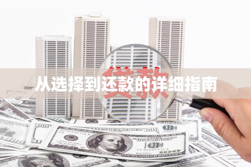 泾县从选择到还款的详细指南
