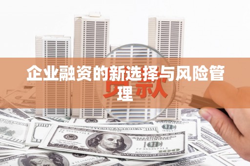 泾县企业融资的新选择与风险管理